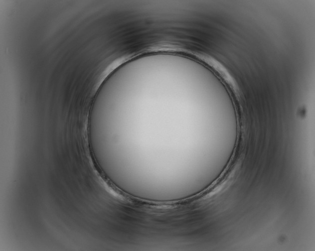 X0000102251337200807250852