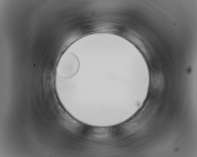 X0000102251338200807250852