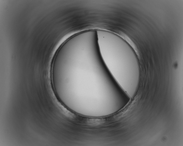 X0000102251339200807250852