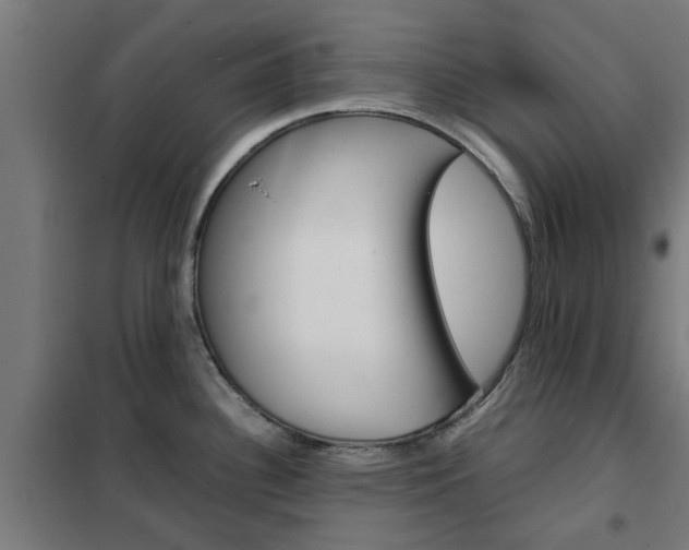 X0000102251340200807250852