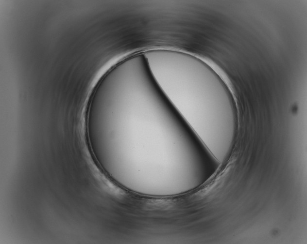 X0000102251341200807250852