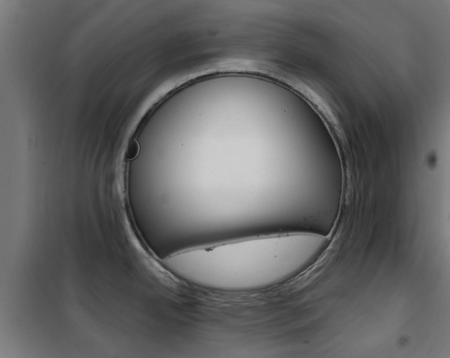 X0000102251342200807250852