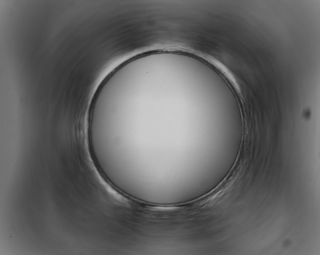 X0000102251343200807250852