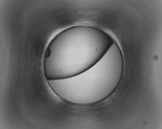 X0000102251344200807250852