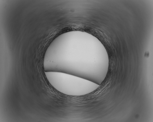 X0000102251345200807250852