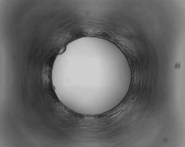 X0000102251346200807250852
