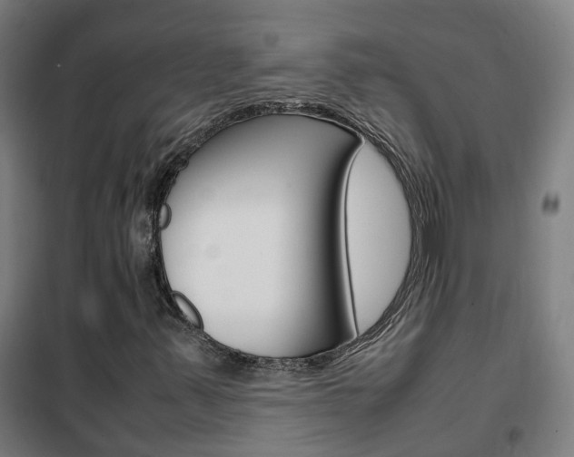 X0000102251347200807250852