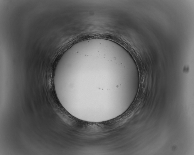 X0000102251348200807250852