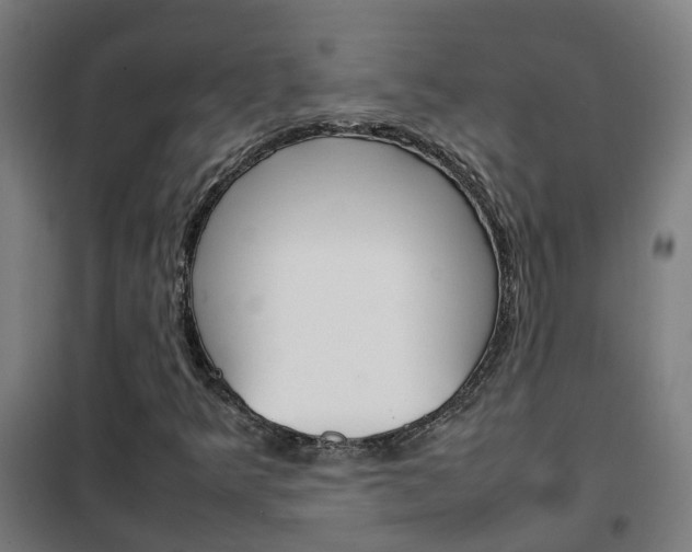 X0000102251349200807250852