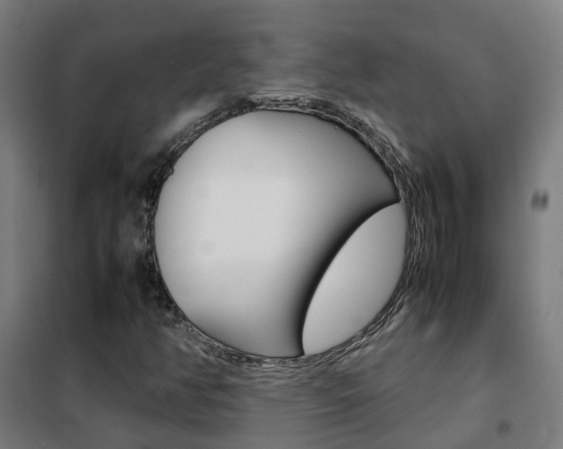 X0000102251350200807250852