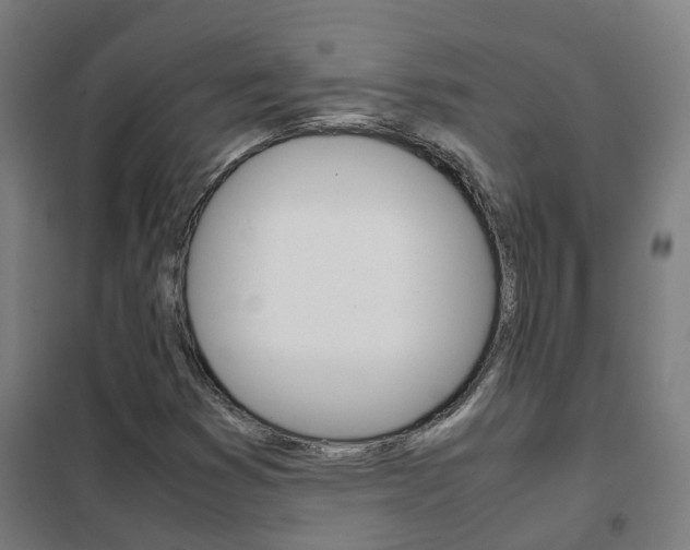 X0000102251353200807250852
