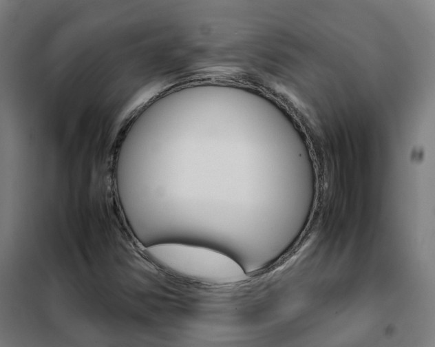 X0000102251354200807250852