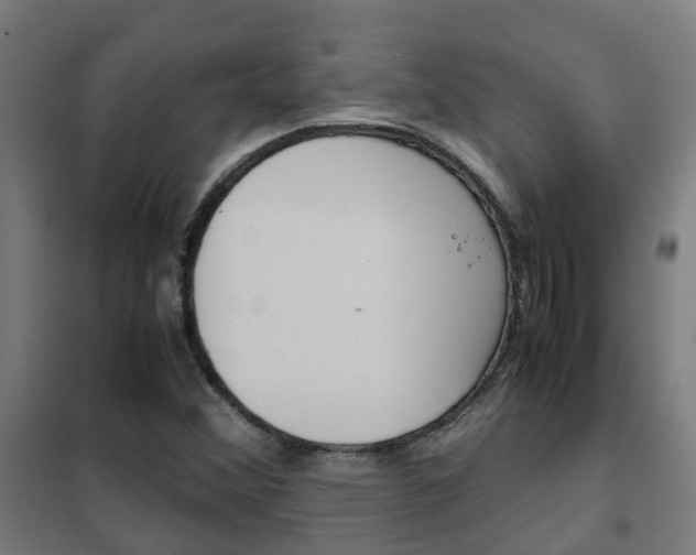 X0000102251356200807250852