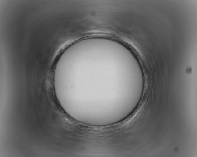 X0000102251357200807250852