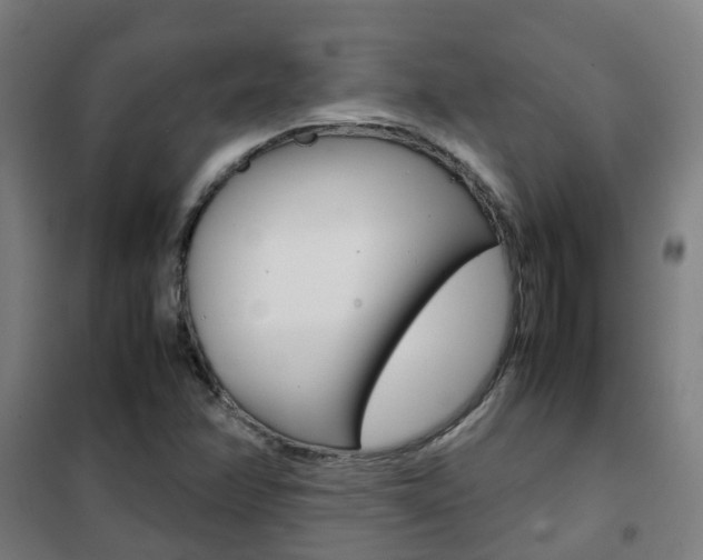 X0000102251358200807250852
