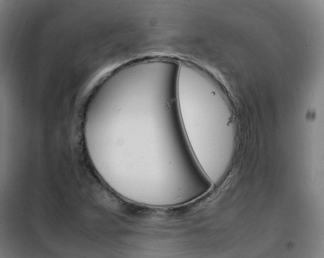 X0000102251359200807250852
