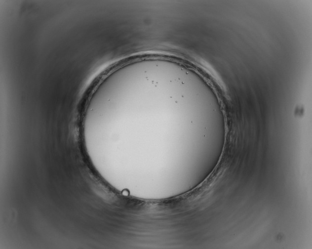 X0000102251360200807250852