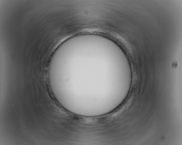 X0000102251361200807250852
