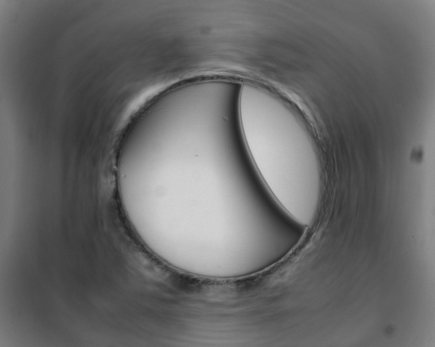 X0000102251363200807250852