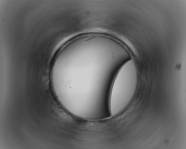 X0000102251364200807250852