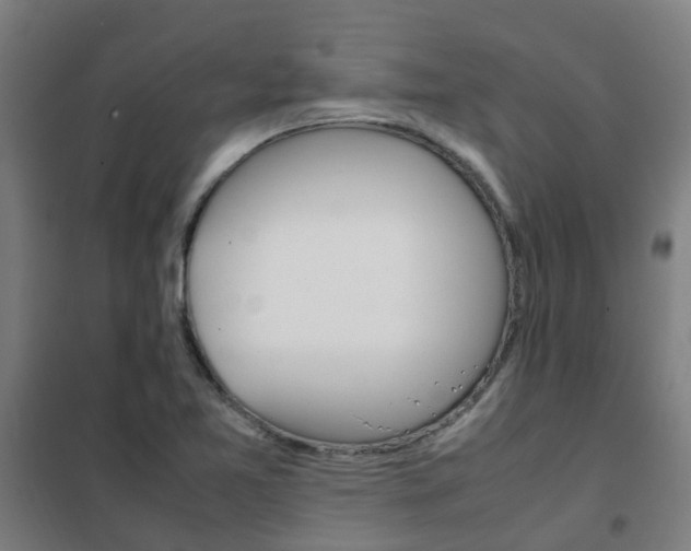 X0000102251365200807250852