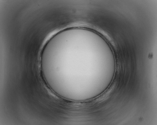 X0000102251366200807250852