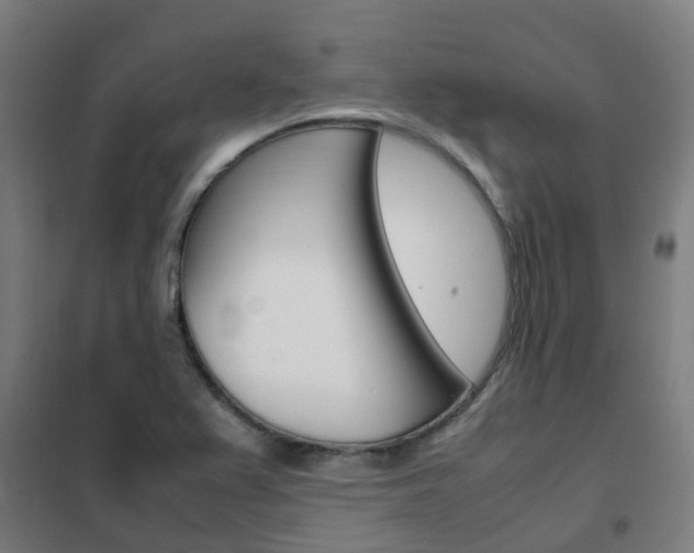 X0000102251367200807250851