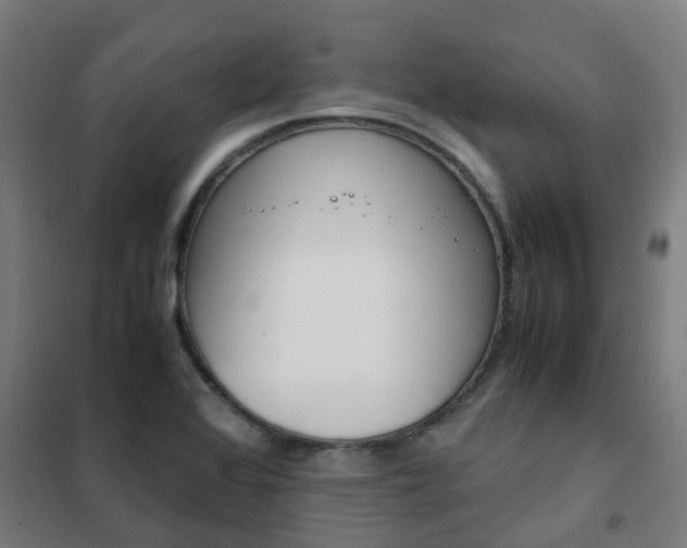 X0000102251368200807250851