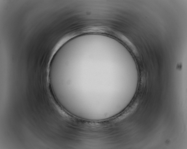 X0000102251370200807250851