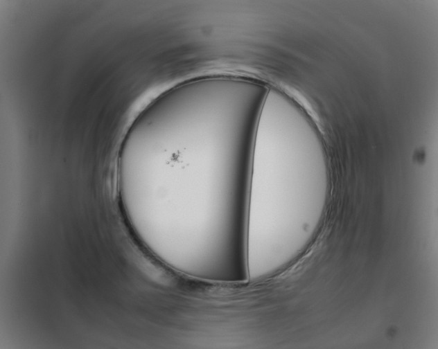 X0000102251371200807250851
