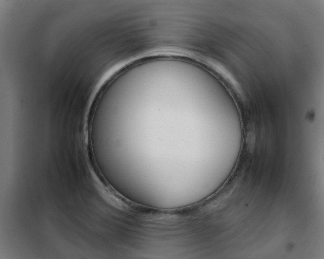 X0000102251372200807250851