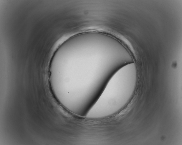 X0000102251373200807250851