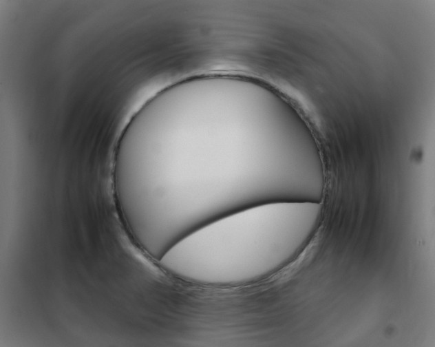 X0000102251374200807250851