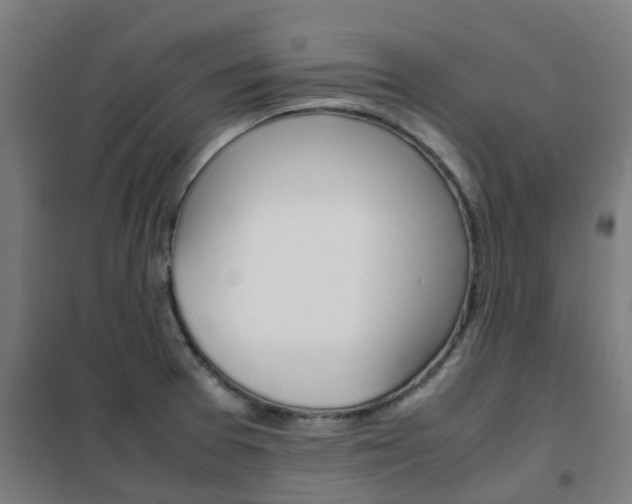 X0000102251377200807250851