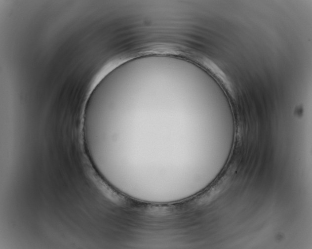 X0000102251378200807250851