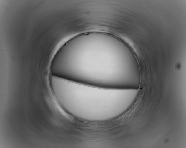 X0000102251379200807250851