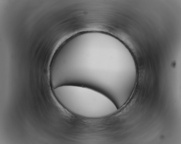 X0000102251380200807250851
