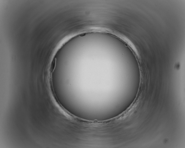 X0000102251381200807250851