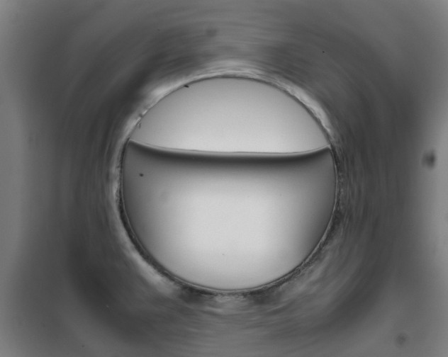 X0000102251383200807250851