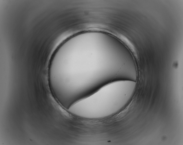 X0000102251384200807250851