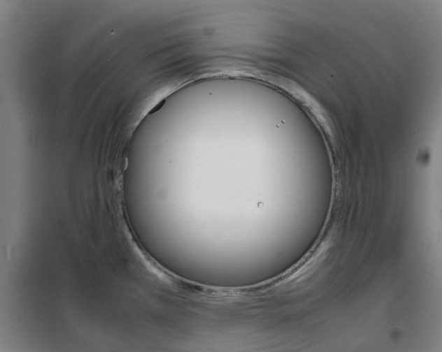 X0000102251385200807250851