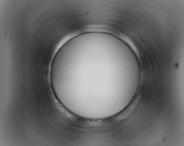 X0000102251386200807250851