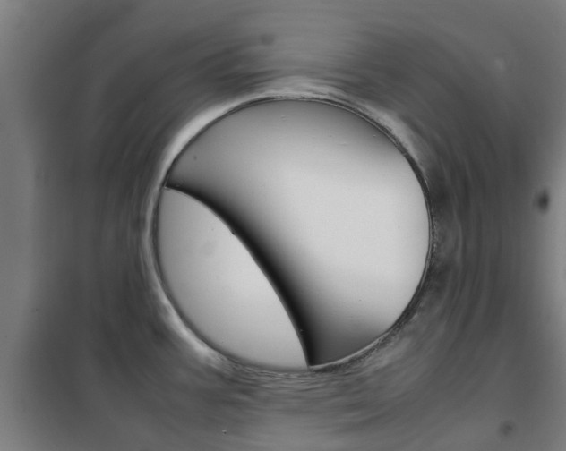 X0000102251387200807250851