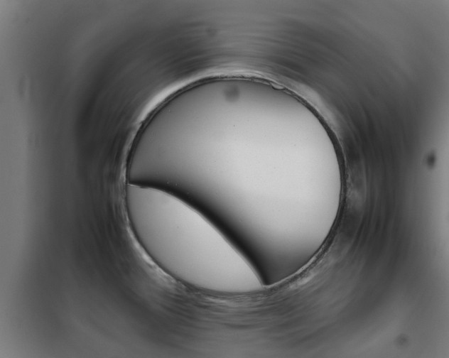 X0000102251388200807250851