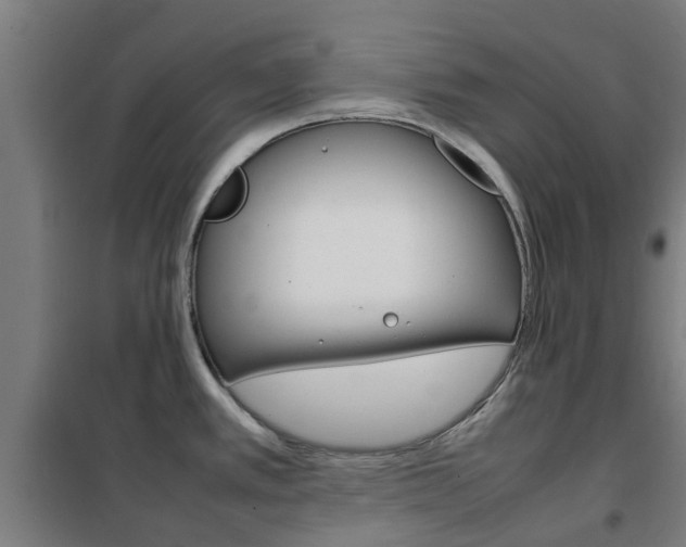 X0000102251389200807250851
