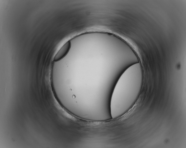X0000102251390200807250851