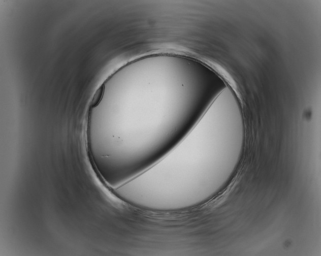X0000102251391200807250851