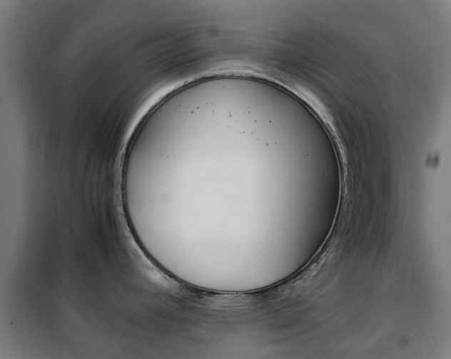 X0000102251392200807250851
