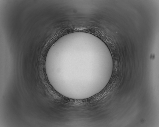 X0000102251393200807250850