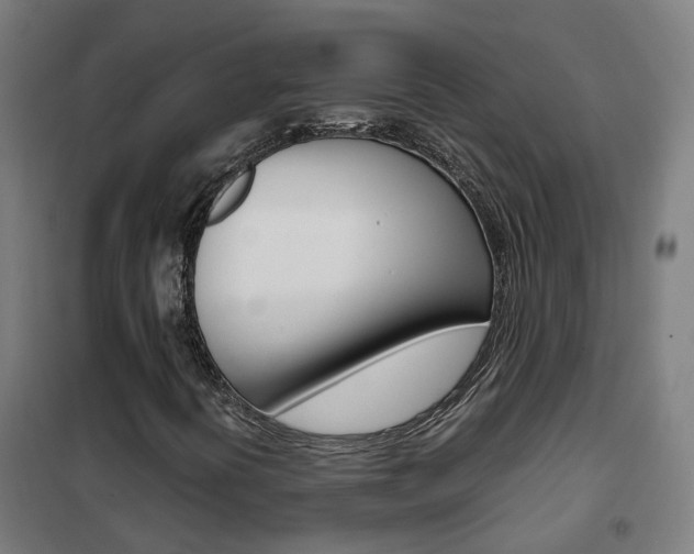 X0000102251394200807250850
